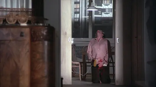 最后的女人 La dernière femme1976剧照3