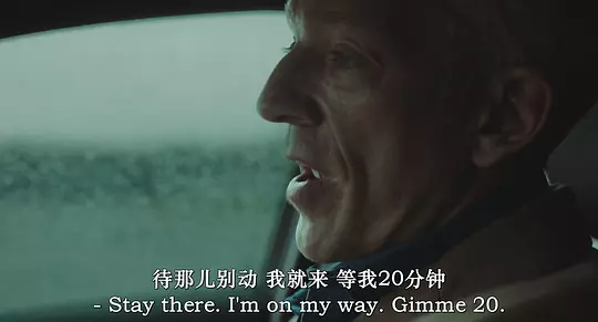 致命伤痕 Damaged2024剧照2