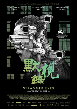 默视录（2024） 海报