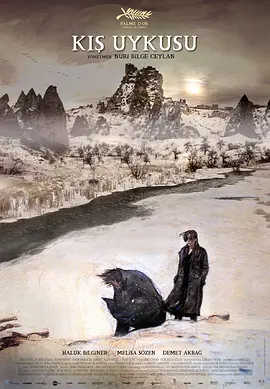 冬眠 K?? Uykusu（2014） 海报