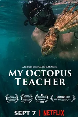 我的章鱼老师 My Octopus Teacher（2020） 海报