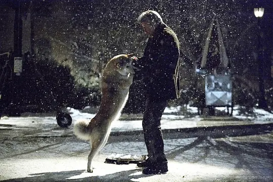 忠犬八公的故事 Hachi: A Dog's Tale2009剧照2