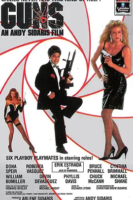美女特工队 Guns（1990） 海报