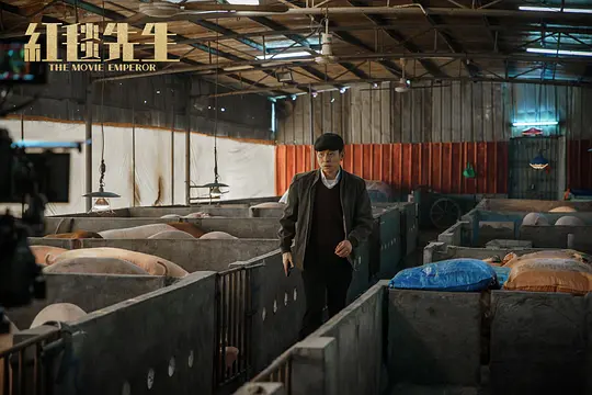 红毯先生2023剧照3