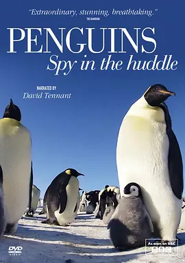 企鹅群里有特务 Penguins: Spy in the Huddle（2013） 海报