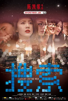 搜索（2012） 海报