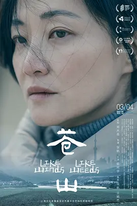 苍山（2023） 海报