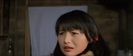 波牛1983剧照2