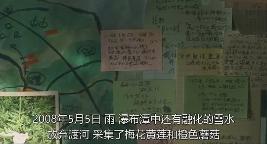 唱歌的六个女人2023剧照2
