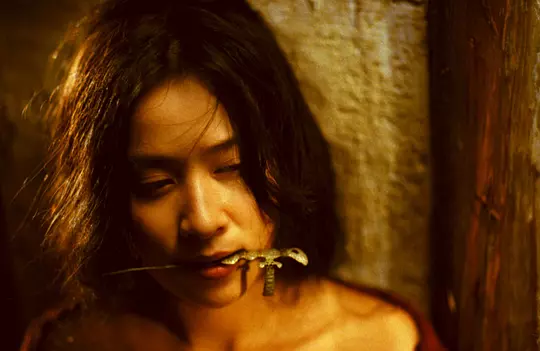 东邪西毒:终极版 東邪西毒終極版2008剧照2