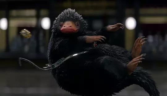 神奇动物在哪里 Fantastic Beasts and Where to Find Them2016剧照2