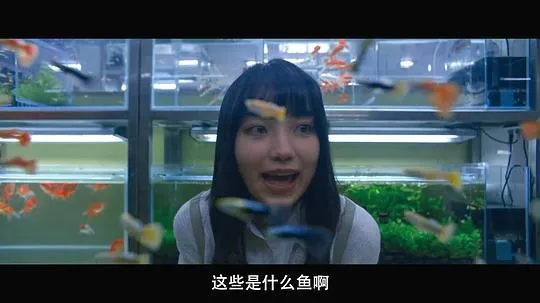 初恋慢半拍2022剧照3