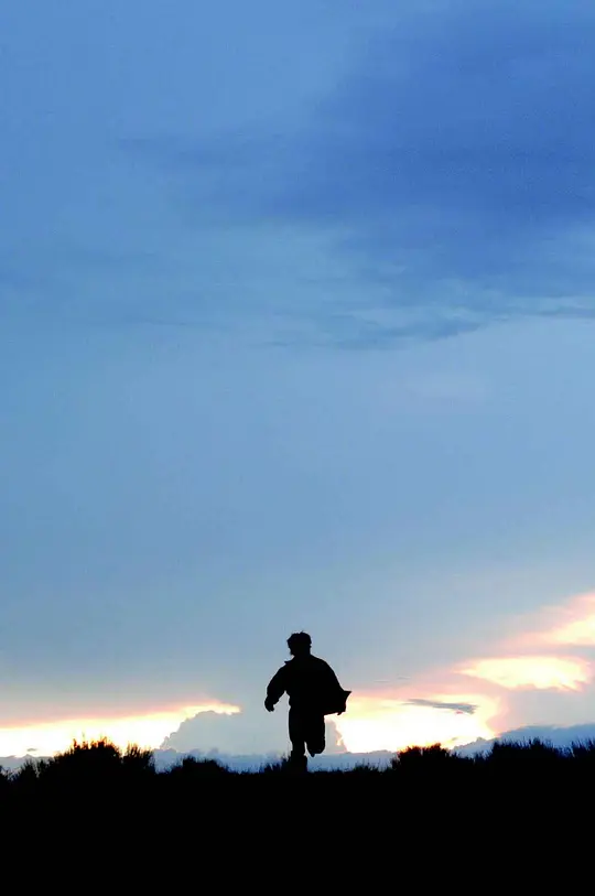 老无所依 No Country for Old Men2007剧照2