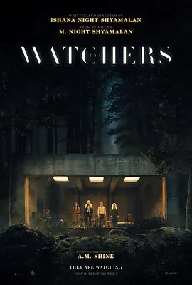 神秘窥视 The Watchers（2024） 海报