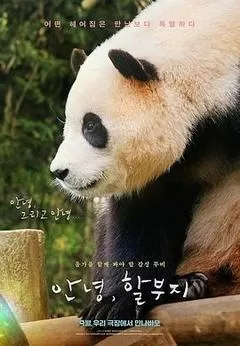 再见，福宝（2024） 海报