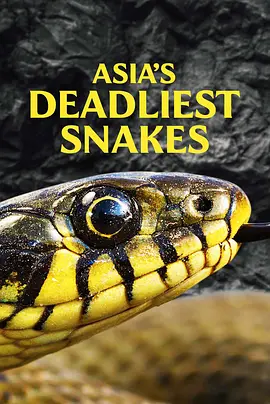 Asia's Deadliest Snakes（2011） 海报