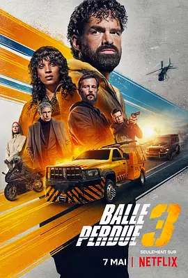 罪证子弹3 Balle perdue 3（2025） 海报