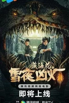 藏海花之雪夜凶灯（2024） 海报