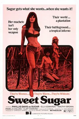 蜜糖 Sweet Sugar（1974） 海报