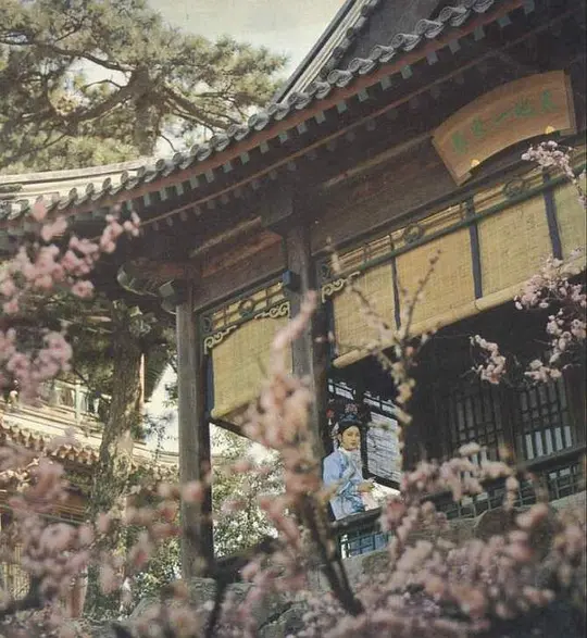 火烧圆明园 火燒圓明園1983剧照2