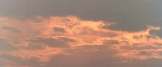 我们一起摇太阳2024剧照2