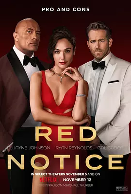 红色通缉令 Red Notice（2021） 海报