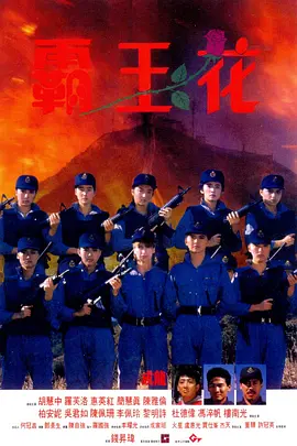 霸王花（1988） 海报
