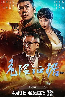 危险证据（2024） 海报