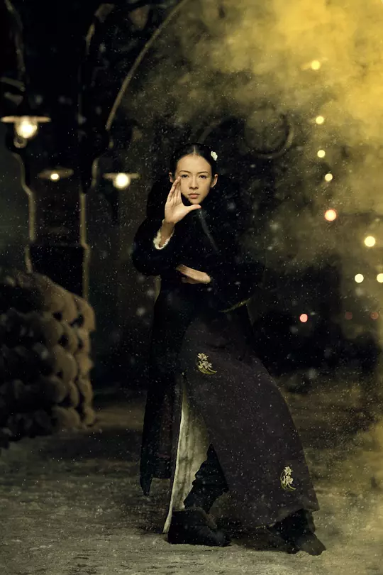 一代宗师 一代宗師2013剧照1