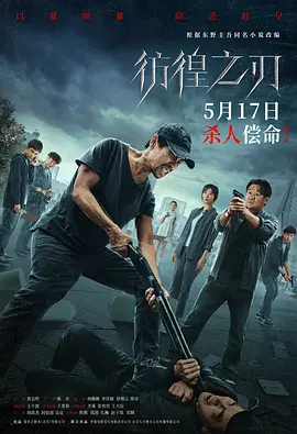 彷徨之刃（2024） 海报