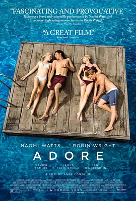 忘年恋曲 Adore（2013） 海报