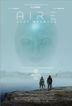 空气（2024） 海报