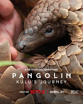 穿山甲Kulu的旅程 Pangolin: Kulu’s Journey（2025） 海报