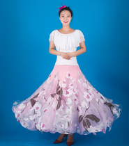 Jiayun dance dress Modern dance dress New Waltz national standard dance skirt Ballroom dance swing printed practice skirt