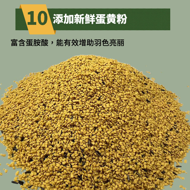 Parrot sky budgie food bird food shellless food bird food parrot bird food feed feeding pills egg yolk powder