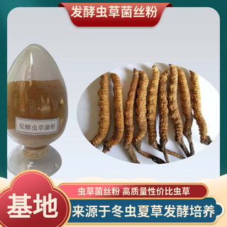 Cordyceps powder manufacturers genuine cordyceps sinensis powder cs-4 fermented cordyceps mycelium powder ultrafine 250g 3 get 1 free