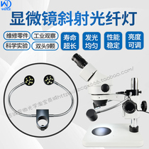 Microscope LED side light fiber lamp Oblique illumination Upper light source Inner diameter 22 25 32mm white column lamp