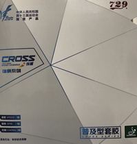 Tianjin Friendship 729 vertical and horizontal popular table tennis racket reverse rubber high cost-effective training game rubber