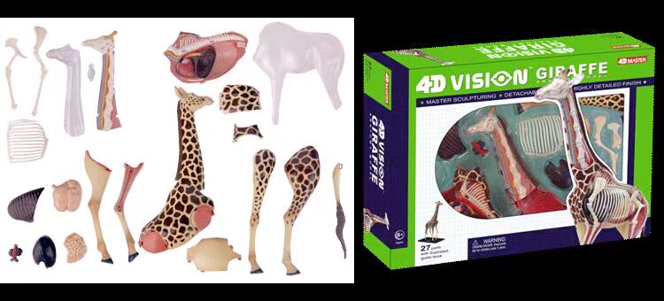 4D Master lắp ráp giải phẫu động vật mô hình khủng long tĩnh trẻ em đồ chơi giáo dục mẫu giáo do choi cho be