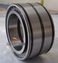 Full equipped cylindrical roller bearings SL04 NNF 5004PP 5005PP 5005PP 5006PP 5008PP 5008PP