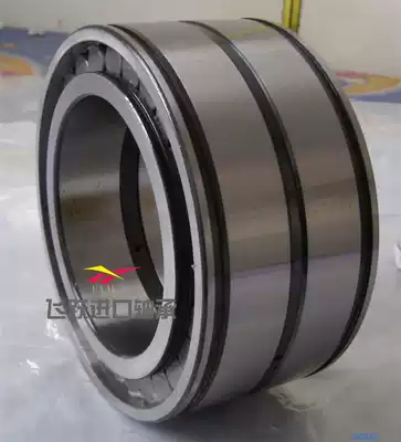 Full cylindrical roller bearing SL04 NNF 5004PP 5005PP 5006PP 5007PP 5008PP