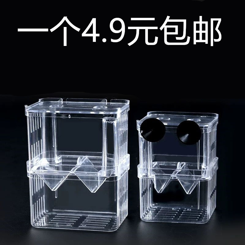 Peacock fish breeding box fish tank non-acrylic isolation box extra large spawn hatching room small fry juvenile large fish