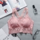 Sexy ren đẹp trở lại bọc ngực đồ lót đáy ống vest nữ sinh viên không có vòng thép tập hợp áo ngực với miếng đệm ngực - Ống