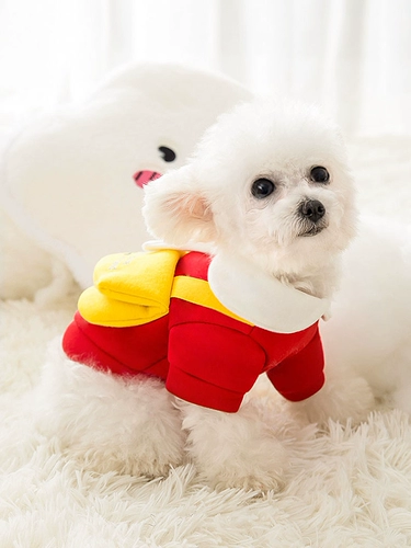 Сумка, толстовка, демисезонный пуховик