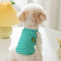 Зеленая полоса