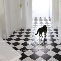 Black and white board toilet floor tile 300 x300 tiles Retro - style French kitchen all tiles