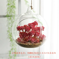 Абрикосовый комплект, 15см