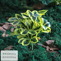 Одиночная связка древесины утиной лапки с 9 головками