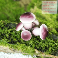 Ландшафтный гриб маленький фиолетово-красный