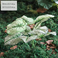 Один пучок из 9 зеленых листьев таро.